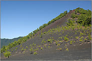 vom Refugio El Pilar zur Punta de los Roques... Cumbre Nueva *La Palma*