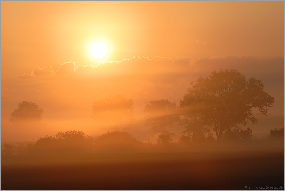 Zauberland (13/13)... Sonnenaufgang *im Nebel*