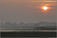 über den Laken... Sonnenaufgang *Burgenland*