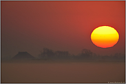 Frühnebel liegt über Wiesen und Feldern... Sonnenaufgang *Morgenstimmung*