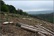 freier Blick über's Tal... Waldsterben *Rodungsfläche*, eine Rodungsfläche gibt den Blick auf entfernte Windkraftanlagen frei