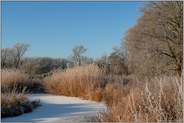 eiskalt... Saarner Auen *Mülheim an der Ruhr*