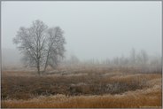 erster Frost... Moorlandschaft *Hochmoor*