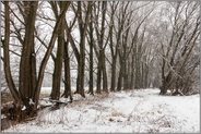 Winterlandschaft am Niederrhein... Kringsgraben *Ilvericher Altrheinschlinge* im Bereich Strümper Feld